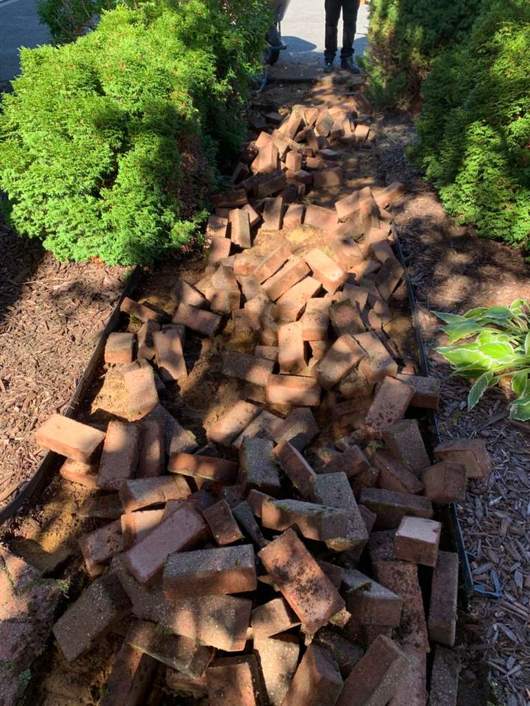 Tree Removal