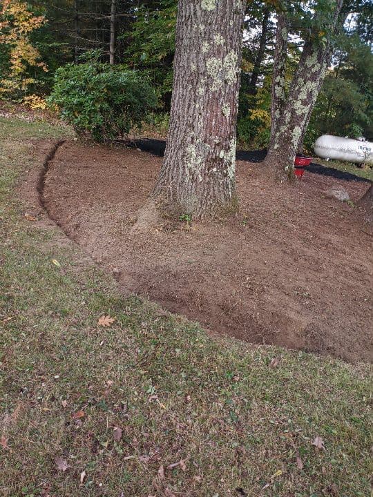 Plant Selection and Installation